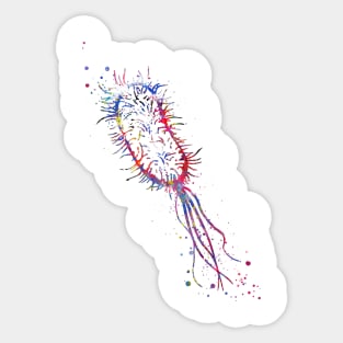 Escherichia coli Sticker